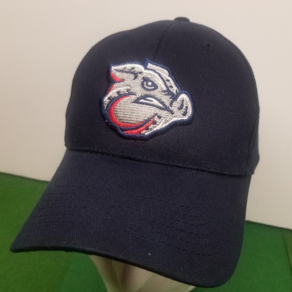 H22 - Lehigh Valley Ironpigs Hat
